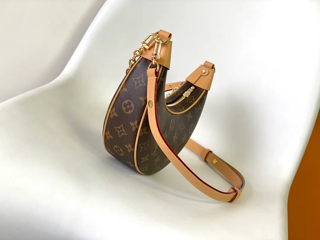 Louis Vuitton Loop Handbag
