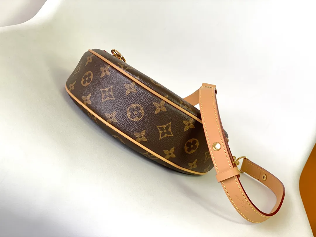 Louis Vuitton Loop Handbag