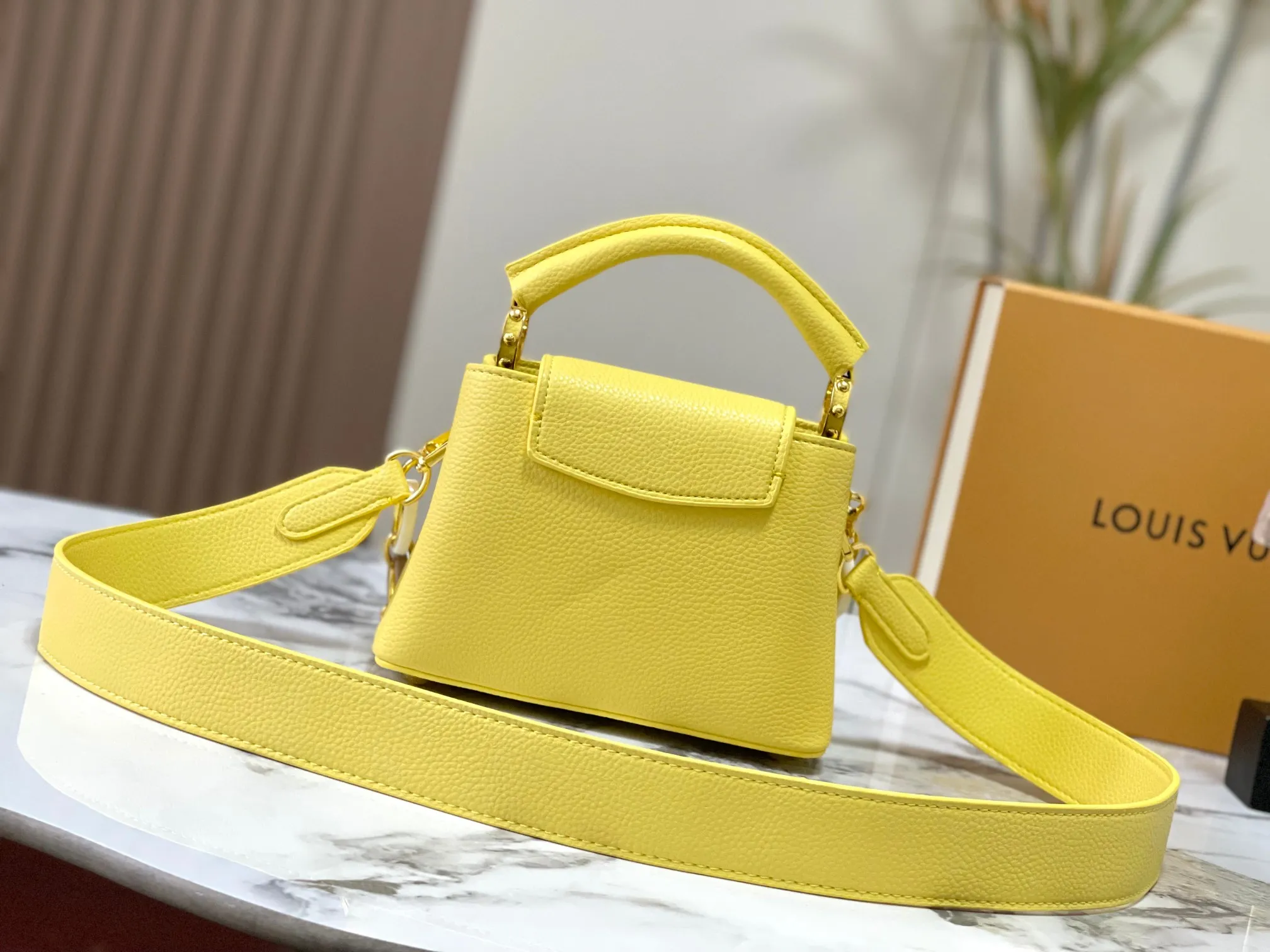 Louis Vuitton Capucines BB Handbag