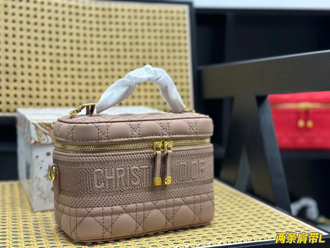 Dior Small Dior Travel Vanity Case Handbag