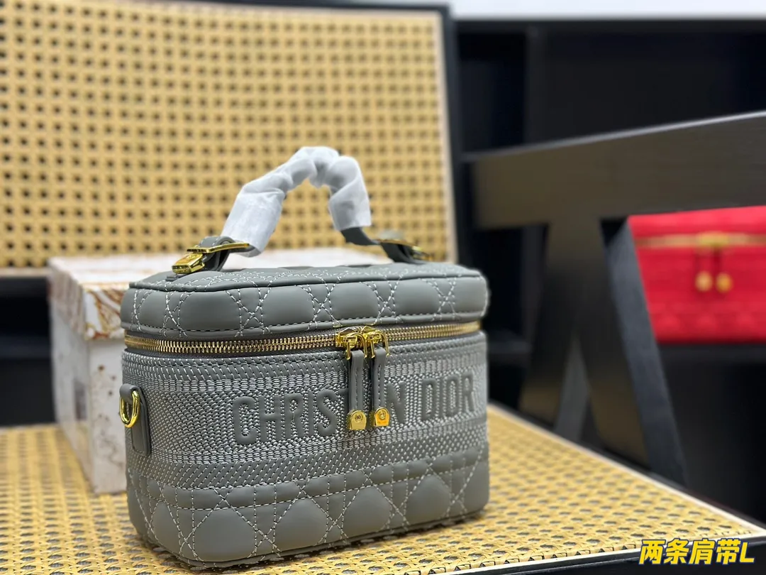 Dior Small Dior Travel Vanity Case Handbag