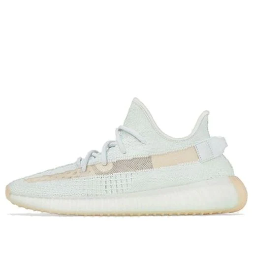 Adidas yeezy boost 350 v2  eg7491-2019