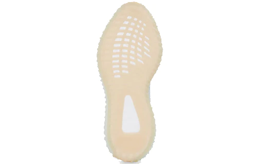 Adidas yeezy boost 350 v2  eg7491-2019