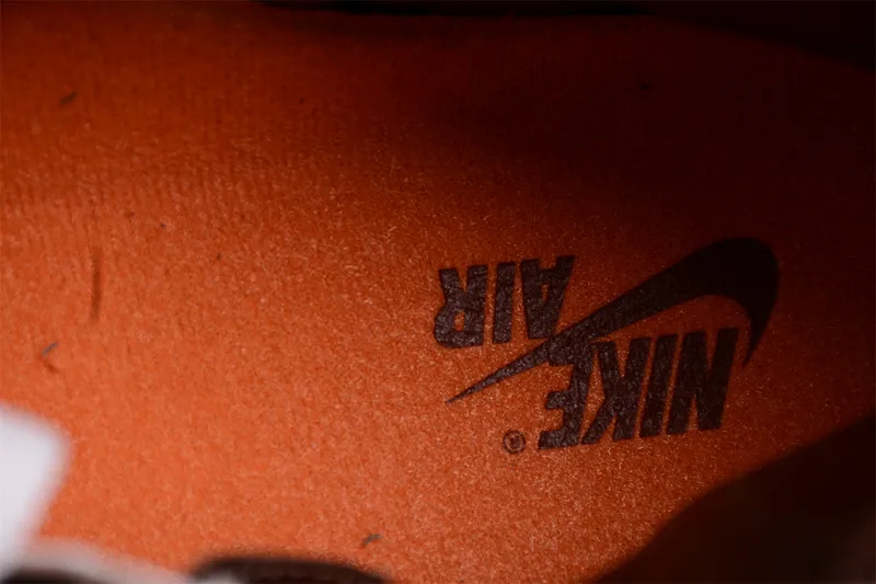 Nike Air Jordan 1 Retro High OG SP Dusted Clay