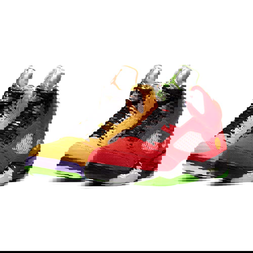 Air jordan 5 retro se ‘what the’