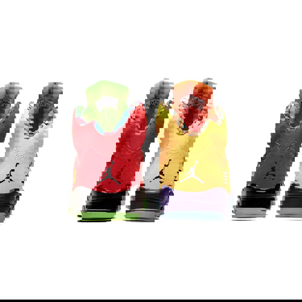 Air jordan 5 retro se ‘what the’