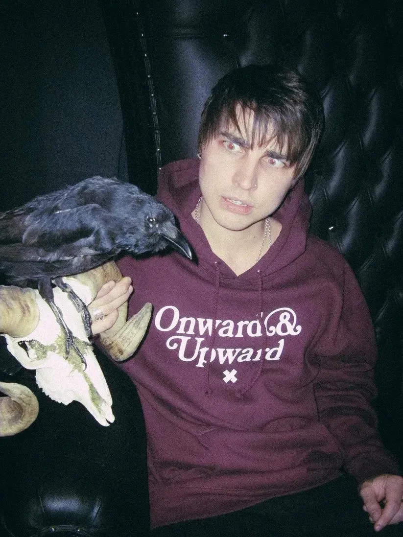 Onward & upward hoodie