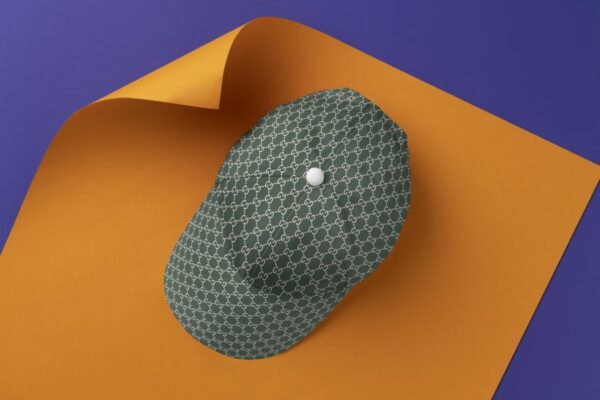 Luxury brand fashion cap accessories outfit for men women 173