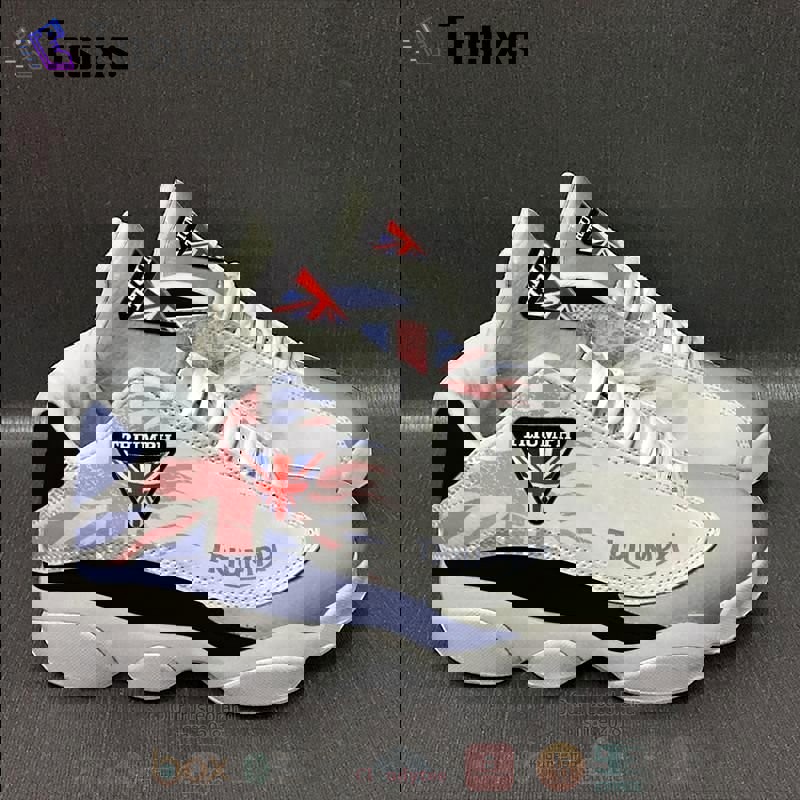 Triumph international air jordan 13 shoes