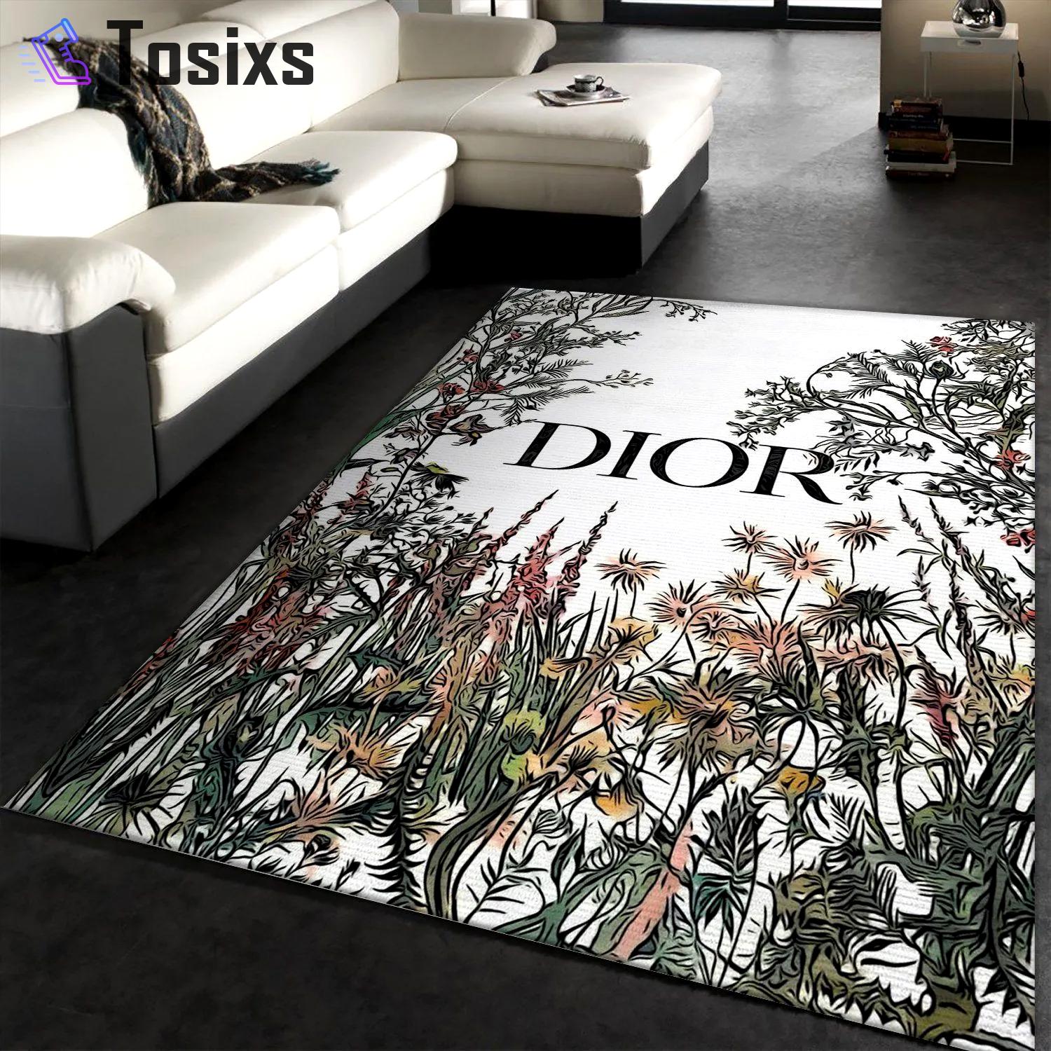 Dior area rugs fashion brand rug carpet floor decor floor mats keep warm in winter Rectangle Rug