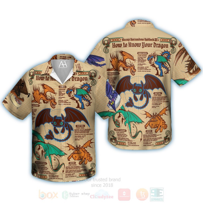 How to train your dragon hawaiian shirt Hawaii Shirt Shorts & Flip Flops