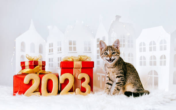 7 New Year Decoration at Home Ideas That Will Make Your Home Look Spectacular