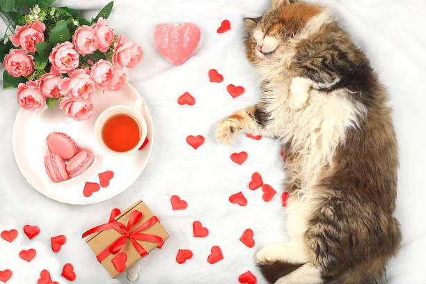 Flower Decoration On Bed? Here Are 5 Tips For A Romantic Evening