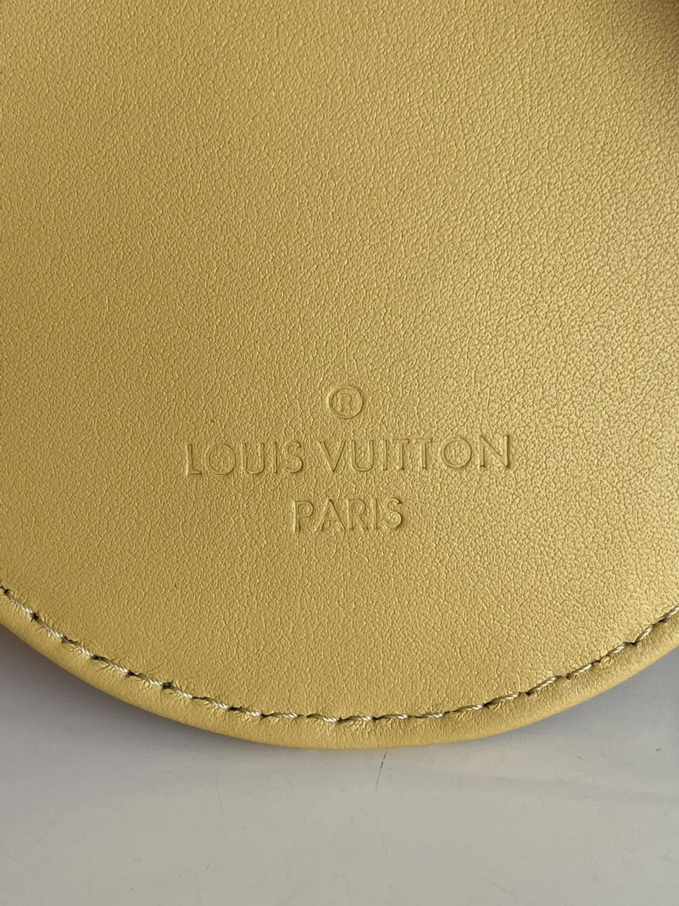 Elevate your style quotient with louis vuitton bags - 927