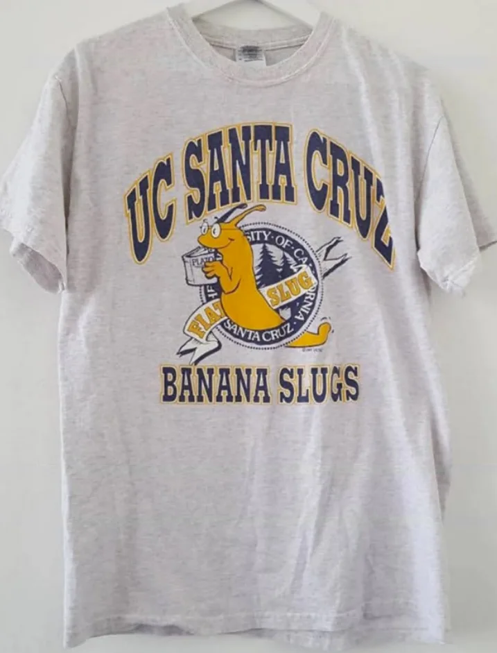 US Crewneck Sweatshirt (DTF) - A Blend of Style and Comfort, Take the Style Plunge! - Personalized