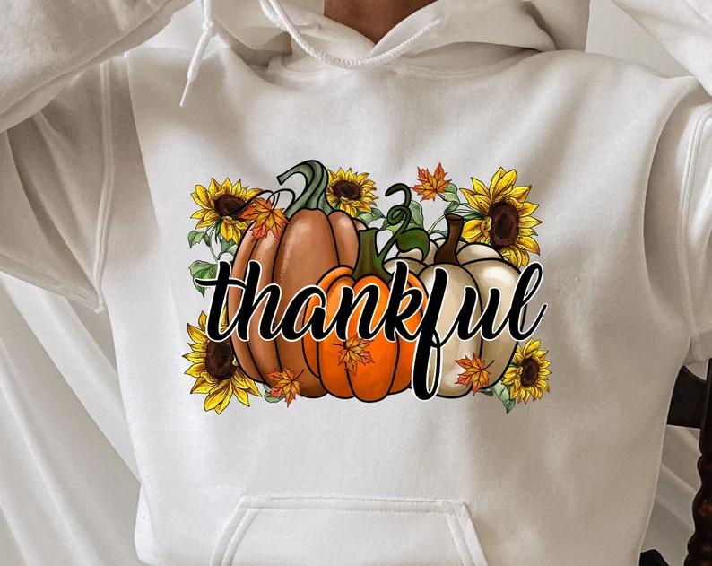Thankful hoodie, pumpkin fall sweatshirt, thanksgiving sweatshirt, fall sweatshirt, autumn sweatshirt, thankful shirt, pumpkin sweatshirt