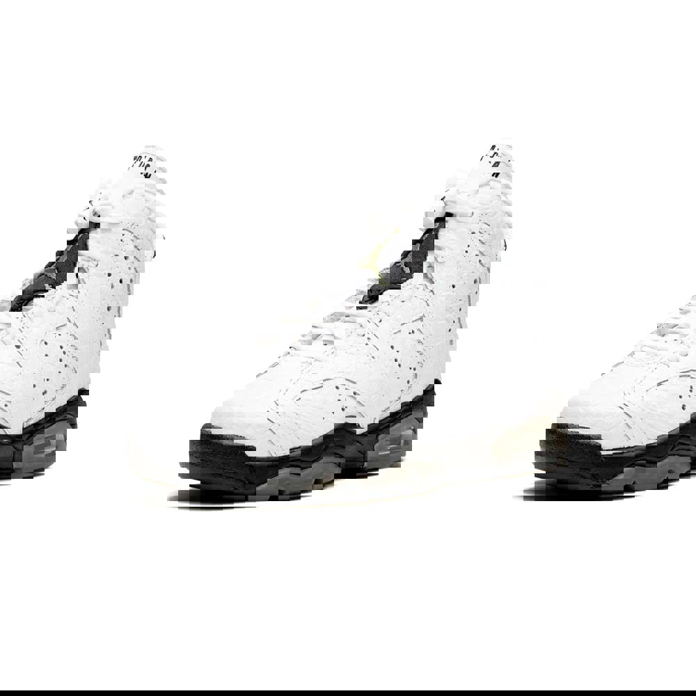 Youth air jordan 6 retro (gs) alligator