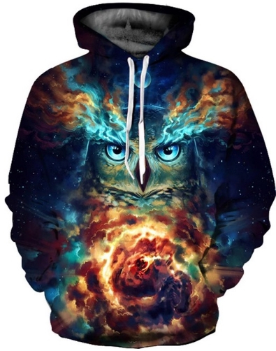 Magic owl 3d street wear hoodie