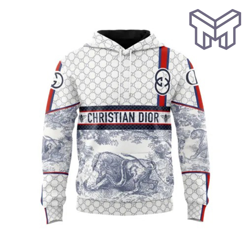Christian Dior Luxury Statement Hoodie 3D