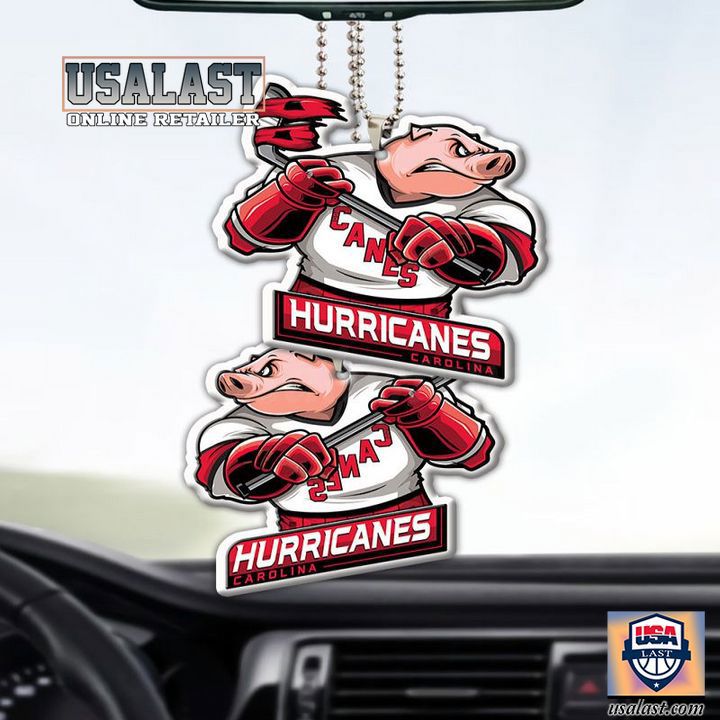 USALAST Hurricanes Carolina Statement Ornament