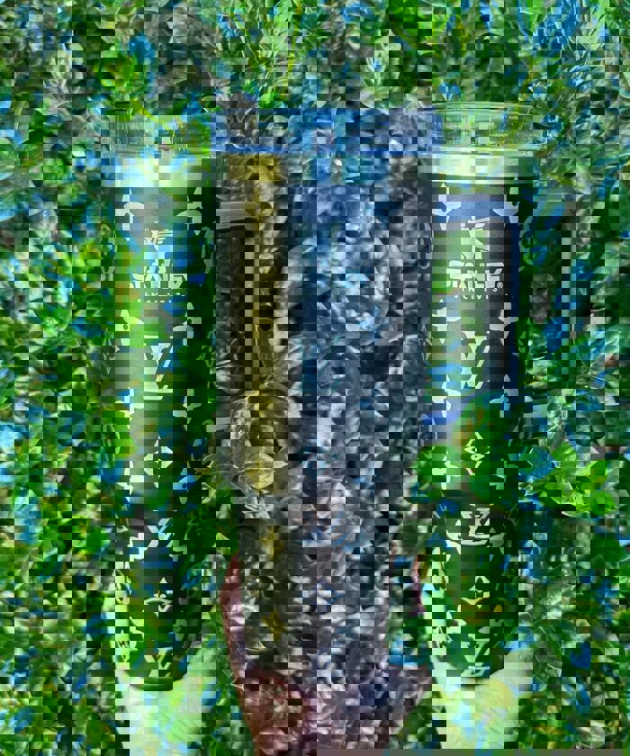 Lv luxury brand stanley tumbler trending ktb1020