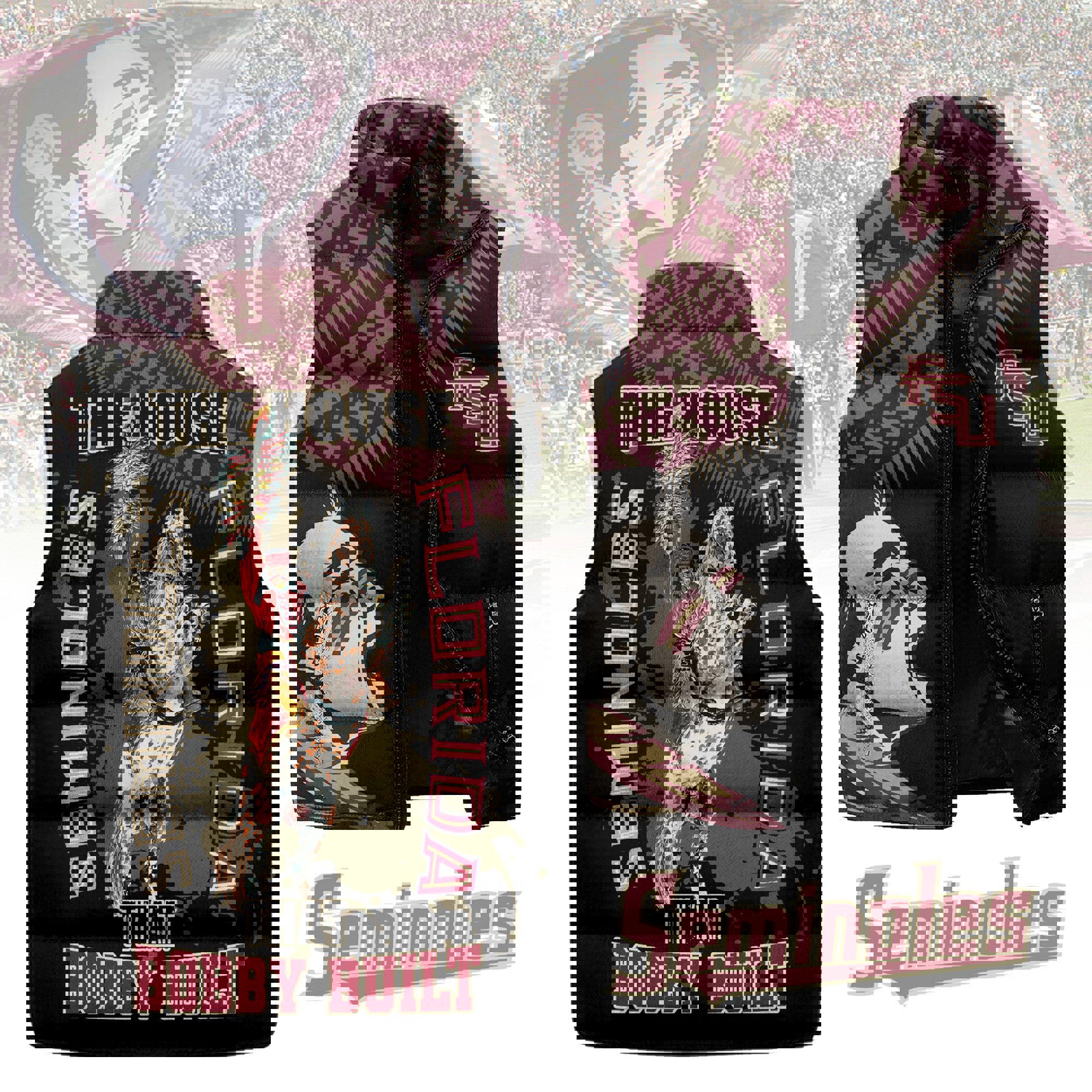 Florida State Seminoles football Sleeveless Coat Sleeveless Vest Gift For Fans
CCS4203
