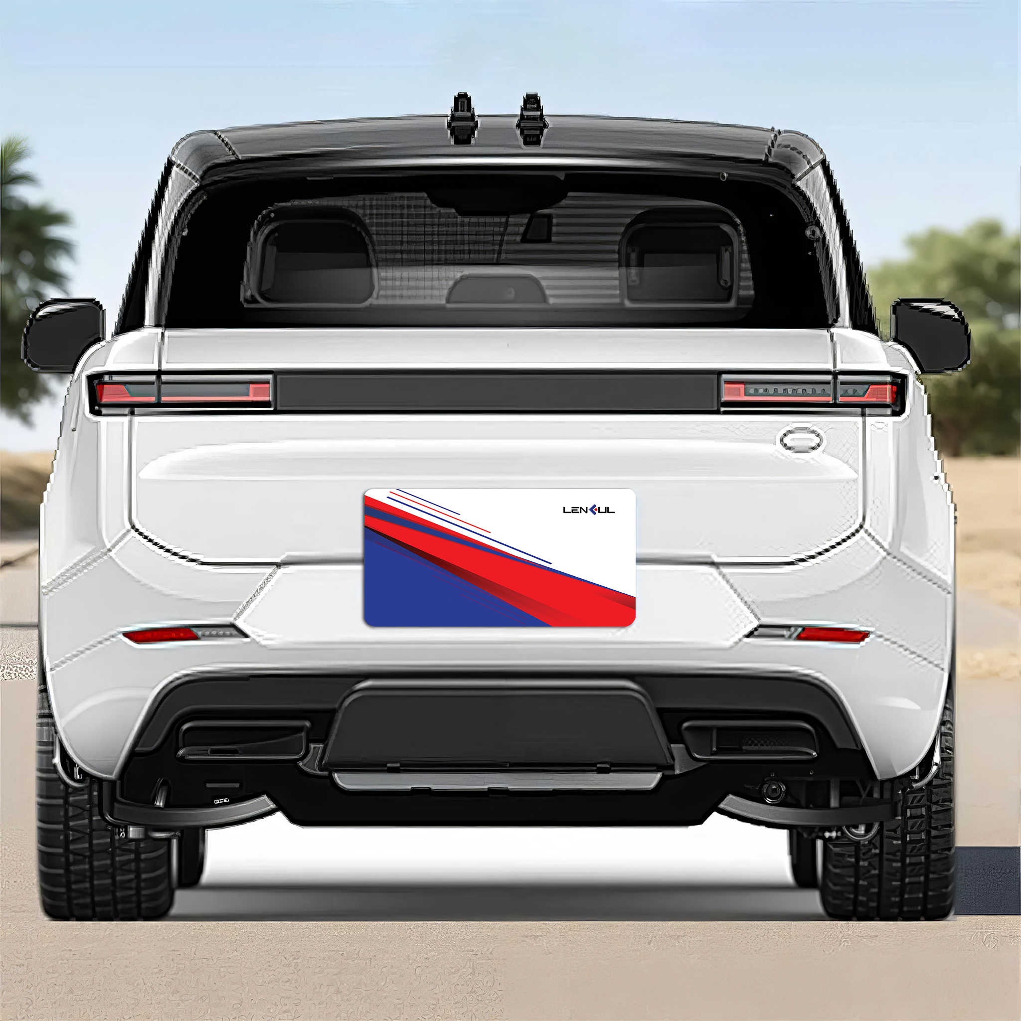 US Car License Plate 