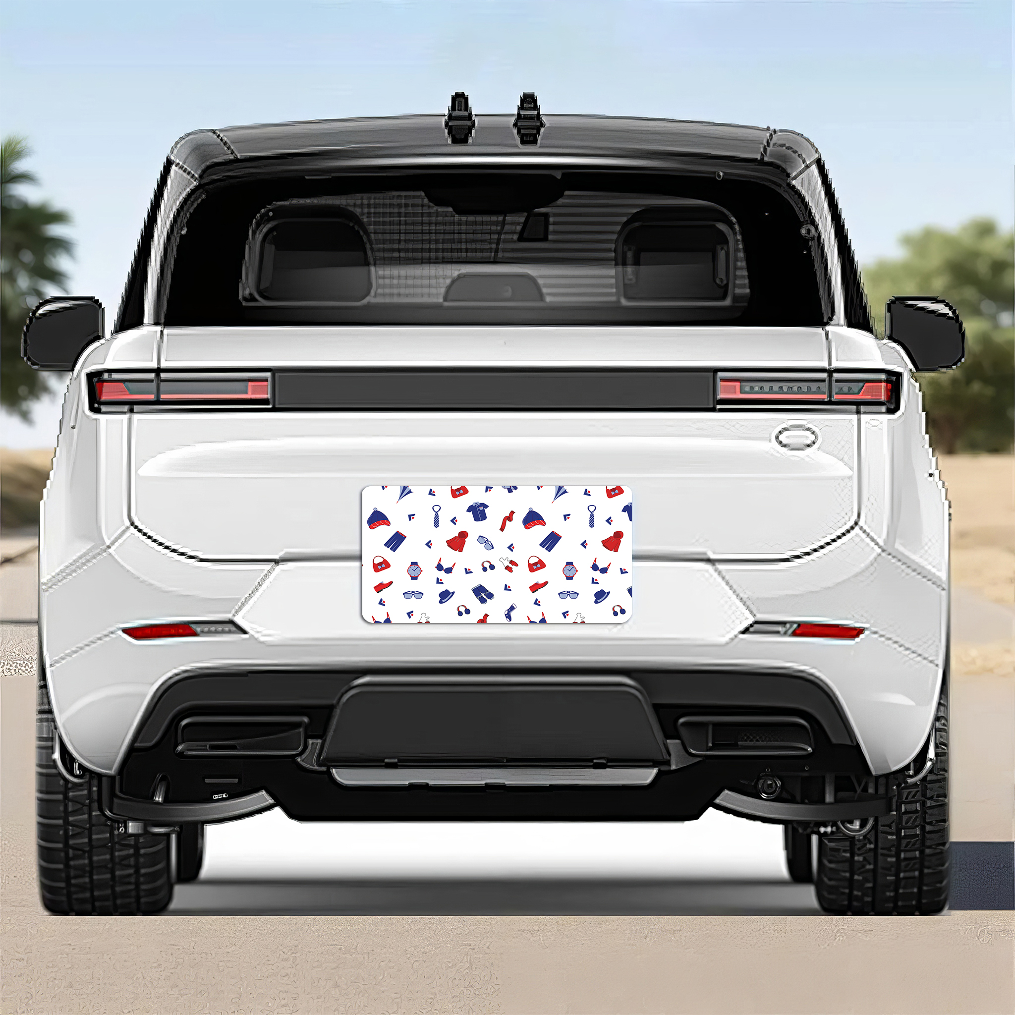 US Car License Plate 