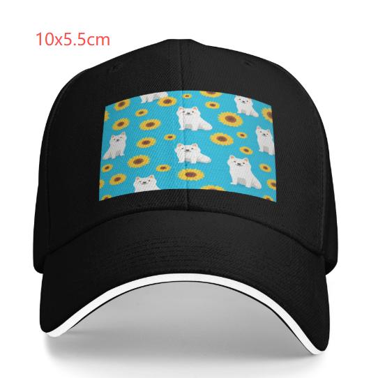 US Sandwich Baseball Cap