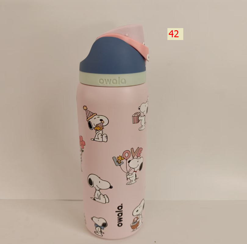Cute Insulated Straw Water Bottle