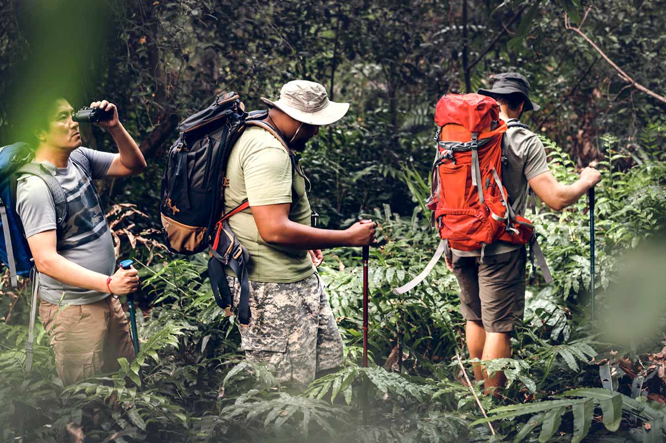 TOP HIKING TRAILS IN THE PERUVIAN AMAZON RAIN FOREST