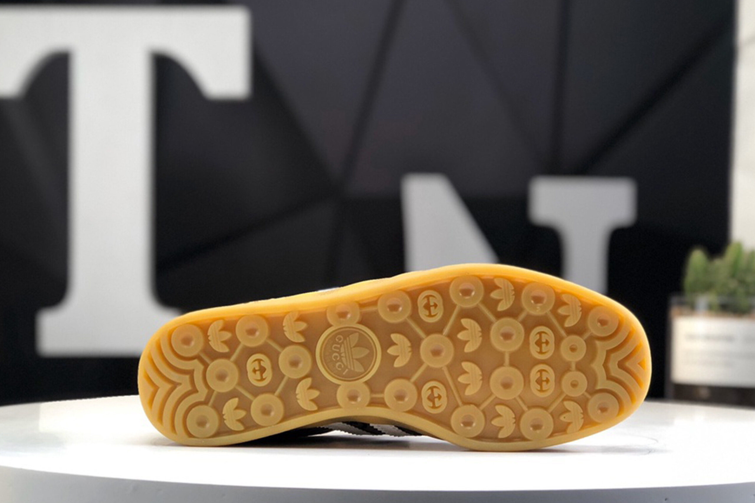 Adidas x gucci gazelle vgg monogram