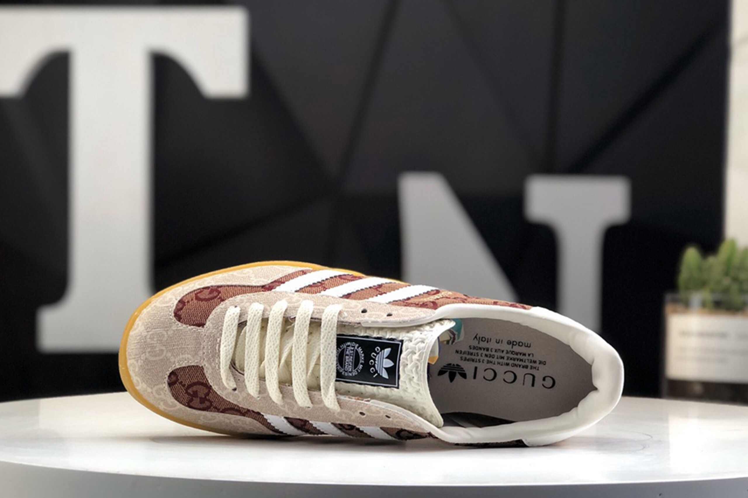 Adidas x gucci gazelle vgg monogram