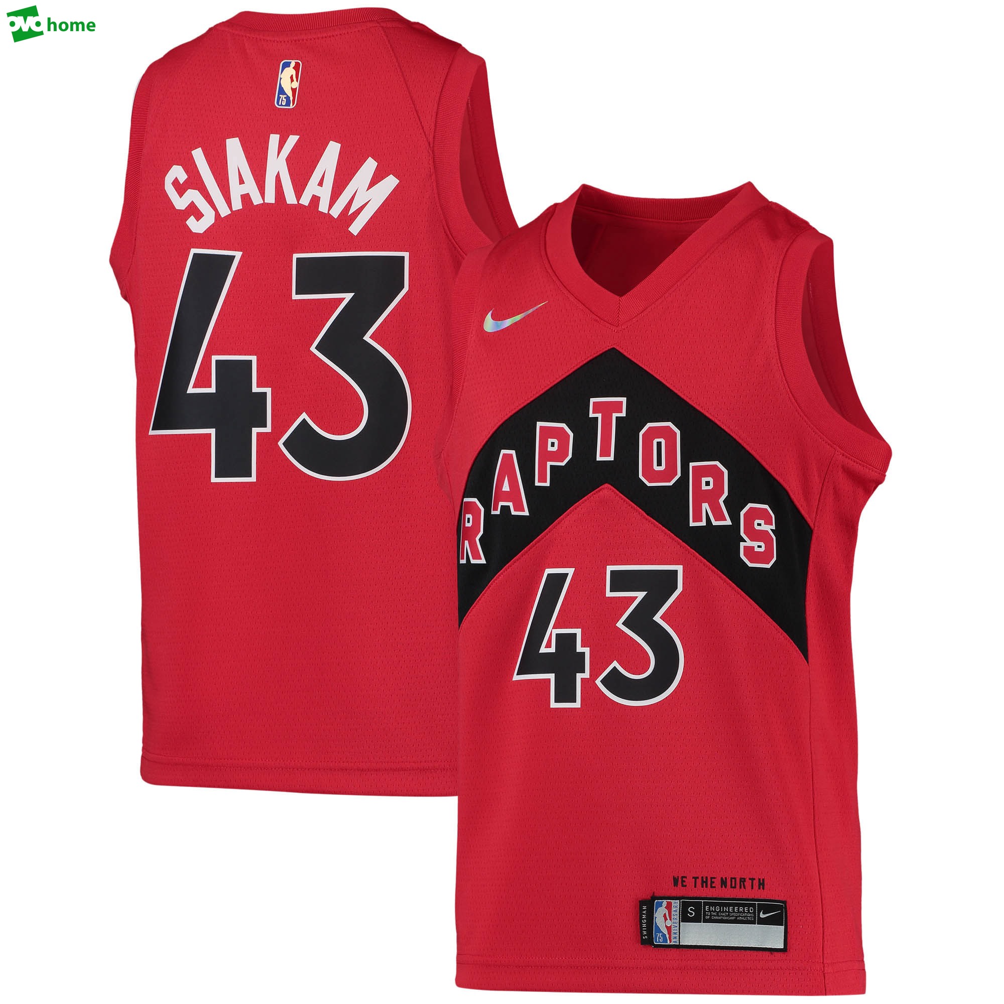 Pascal siakam toronto raptors nike 2023/22 diamond swingman jersey icon edition red Baseball NBA Jersey NBA Basketball Sports Replica Gift For Fans